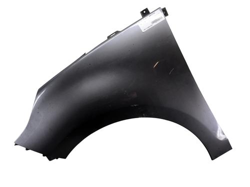 Left front fenders RENAULT SCÉNIC III (JZ0/1_) 1.5 dCi | BP32113579C41