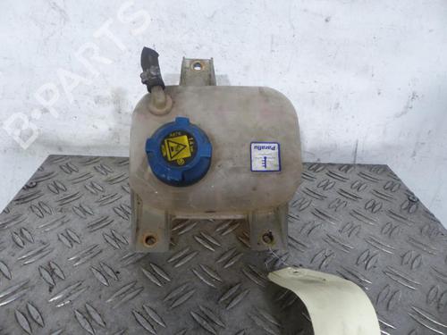 Used Expansion tank FIAT DOBLO Cargo (263_) 1.3 D Multijet (90 hp) 25065066