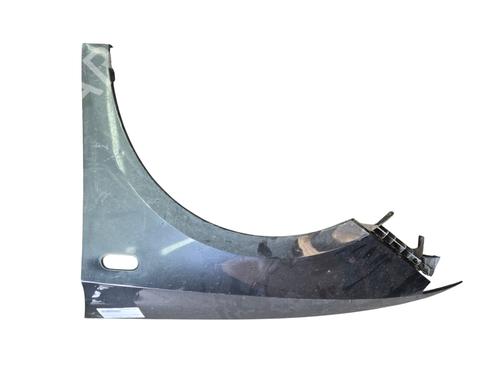 Used Left front fenders SEAT IBIZA IV ST (6J8, 6P8) 1.6 TDI (90 hp) 25919704