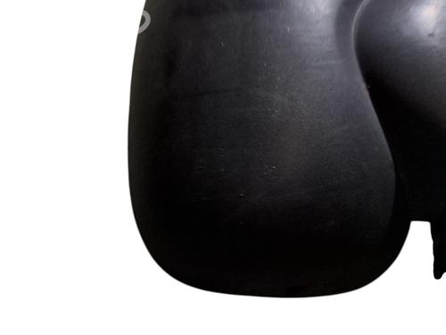 Right mirror RENAULT TRAFIC II Van (FL) 1.9 dCi 80 (FL0B) | BP31248834C27