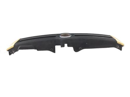 Grill FIAT PANDA (169_) 1.2 (169.AXB11, 169.AXB1A) | BP25076379C40 - Image 4