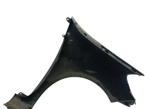 Left front fenders RENAULT CLIO III (BR0/1, CR0/1) 1.2 16V (BR0P, CR0P) | BP30900575C41 