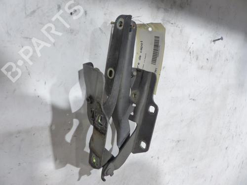 Hinge/Door check strap NISSAN MURANO I (Z50) 3.5 4x4 | BP25079979C146 
