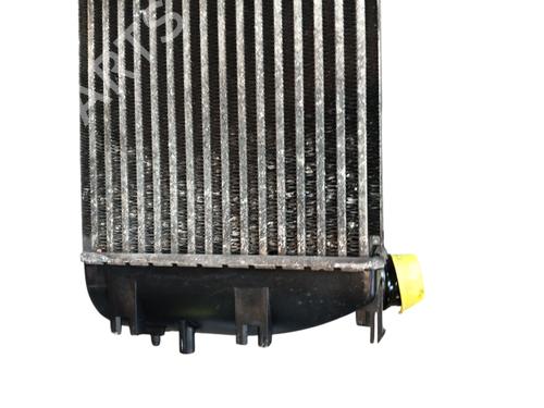 Intercooler DACIA LODGY (JS_) 1.5 dCi | BP29611983M30 