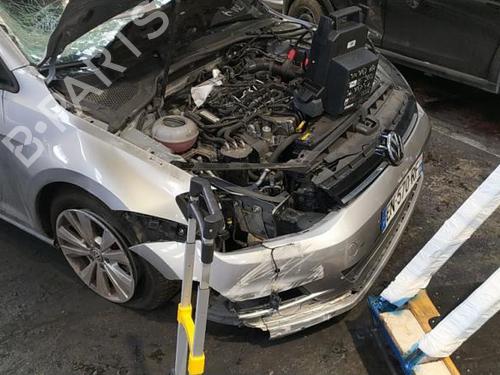 - Image 7