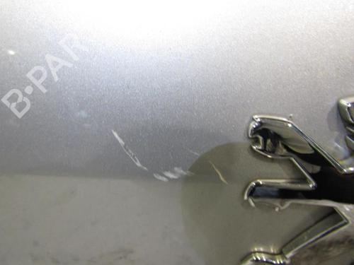 Used Tailgate Tailgate PEUGEOT 407 SW (6E_, 6D_) 2.0 HDi 135 (136 hp) 25106250 25106250