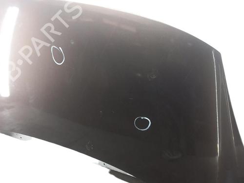Hood RENAULT SCÉNIC III (JZ0/1_) 1.9 dCi (JZ0J, JZ1J, JZ1K, JZ1S) | BP25073092C1 