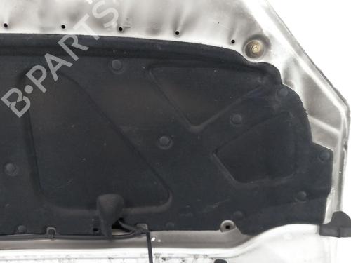 Hood FIAT DOBLO Box Body/MPV (223_)  | BP25102794C1 