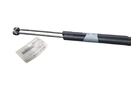 Used Tailgate lift support FORD FOCUS III Turnier 1.6 TDCi (115 hp) 29429104