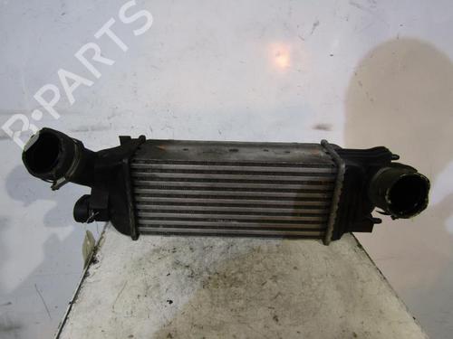 Used Intercooler PEUGEOT 407 SW (6E_, 6D_) 2.0 HDi 135 (136 hp) 25106246