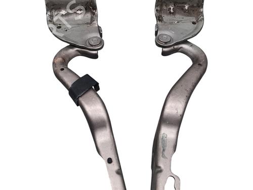 hingedoor-check-strap-renault-clio-iii-grandtour-kr01_-2007-32292647 main image