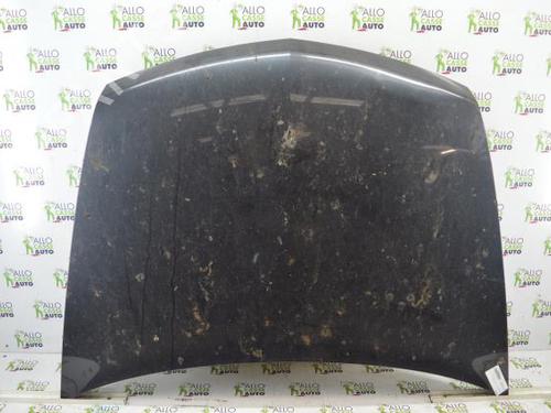 Hood RENAULT VEL SATIS (BJ0_) 2.2 dCi (BJ0E, BJ0F, BJ0G, BJ0H) | BP25071380C1 