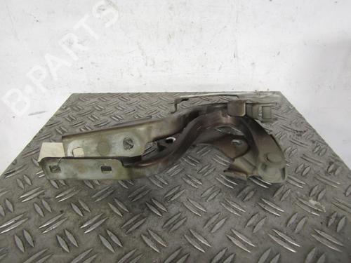 Used Hinge/Door check strap FIAT 500 (312_) 1.3 D Multijet (312AXB1A) (75 hp) 25091679