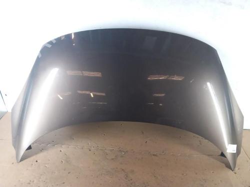 Used Hood RENAULT SCÉNIC III (JZ0/1_) 1.5 dCi (106 hp) 25055478