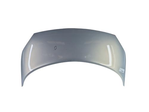 Used Hood RENAULT SCÉNIC II (JM0/1_) 1.5 dCi (JM02, JM13) (101 hp) 25098241