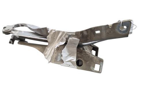 Hinge/Door check strap PEUGEOT 308 I (4A_, 4C_) 1.6 HDi | BP26654982C146 