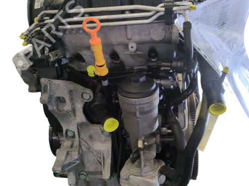 Motor VW POLO IV (9N_, 9A_) 1.4 TDI | BP29976446M1