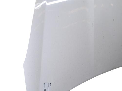 Used Hood HYUNDAI i20 I (PB, PBT) 1.4 CRDi (90 hp) 26527184