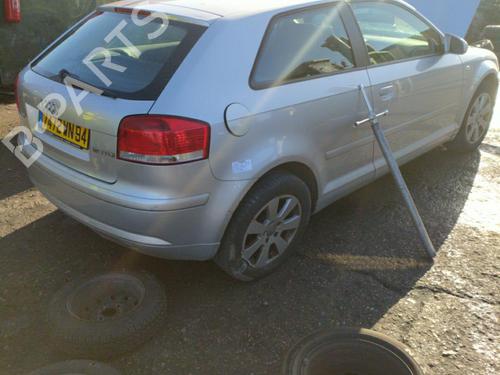 Tailgate lift support AUDI A3 (8P1)  | BP25089706C138 