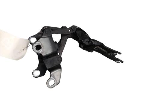 hingedoor-check-strap-bmw-3-e90-2004-2005-2006-2007-2008-2009-2010-2011-2012-25100966 main image