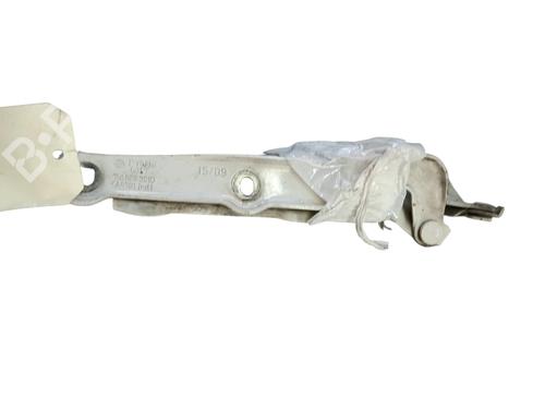 Hinge/Door check strap VW SCIROCCO III (137, 138) 1.4 TSI | BP29429148C146 