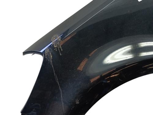 Left front fenders RENAULT CLIO III (BR0/1, CR0/1) 1.2 16V | BP26388338C41 