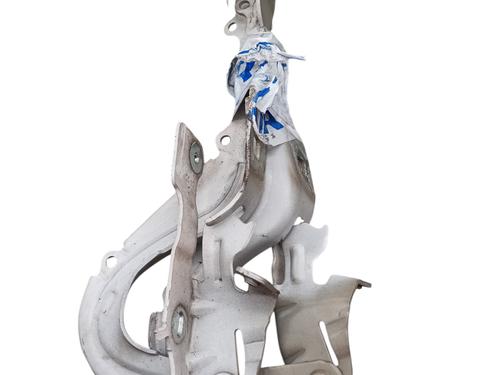 drhengseldrstopper-citroen-c3-iii-sx-2016-31883483 main image