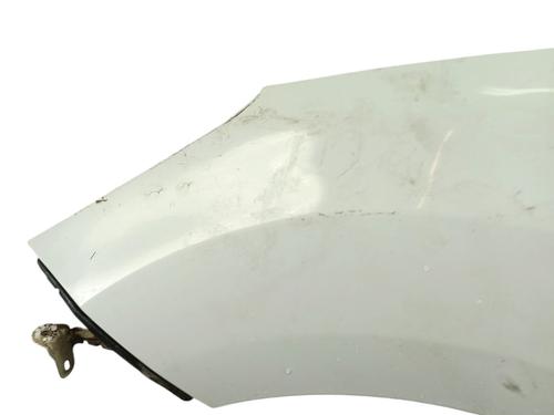 Left front fenders CITROËN C3 II (SC_) 1.4 HDi 70 (SC8HZC, SC8HR0, SC8HP4) | BP29175595C41 