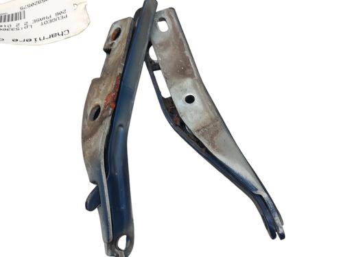 Used Hinge/Door check strap Hinge/Door check strap PEUGEOT 206 Hatchback (2A/C) 2.0 HDI 90 (90 hp) 25059484 25059484