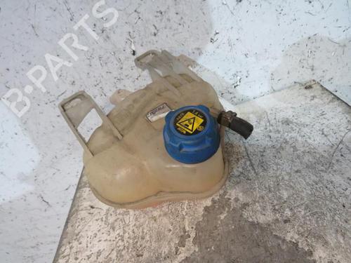 Used Expansion tank FIAT PUNTO EVO (199_) 1.2 (65 hp) 25080750