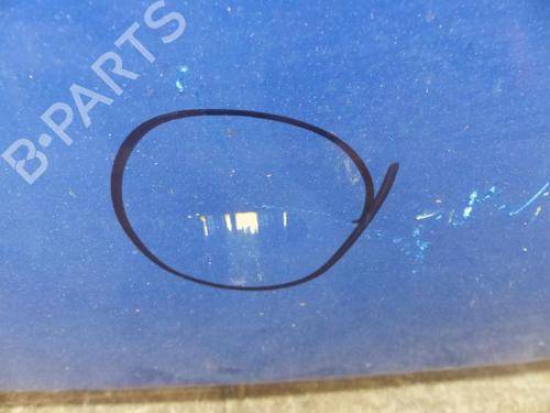 Hood FIAT DUCATO Van (250_) 120 Multijet 2,3 D | BP25065463C1 