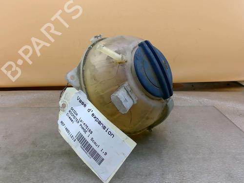 Used Expansion tank SKODA ROOMSTER (5J7) 1.9 TDI (105 hp) 25082013