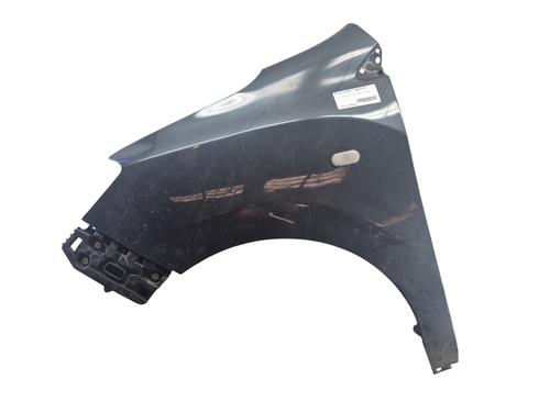Left front fenders DACIA LODGY (JS_) 1.5 dCi | BP29251851C41
