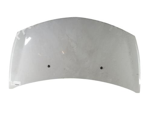 Used Hood RENAULT CLIO III (BR0/1, CR0/1) 1.5 dCi (BR17, CR17) (86 hp) 25053452