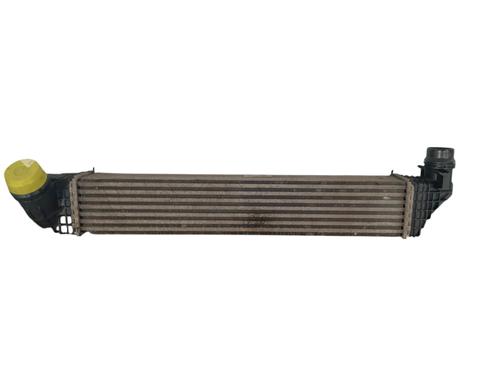 Used Intercooler Intercooler RENAULT SCÉNIC III (JZ0/1_) 1.6 dCi (JZ00, JZ12) (130 hp) 33989800 33989800