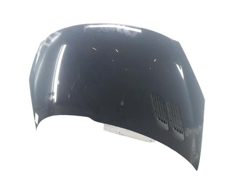 Used Hood PEUGEOT 206+ (2L_, 2M_) 1.4 HDi eco 70 (68 hp) 25102621