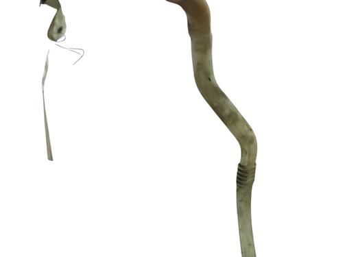 Windscreen washer tank BMW 5 (F10) 520 d | BP28216962C113