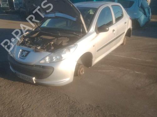 Hood PEUGEOT 206 Hatchback (2A/C)  | BP25063397C1 