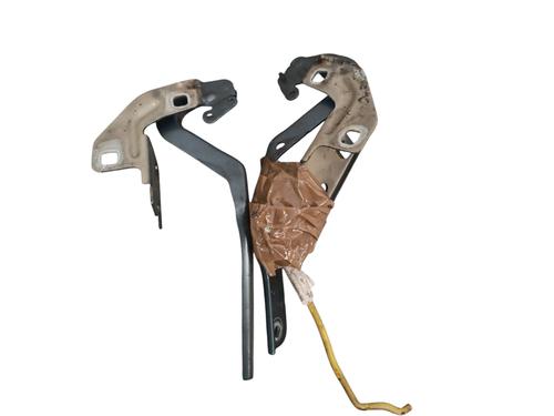 hingedoor-check-strap-citroen-c4-picasso-i-mpv-ud_-2006-2007-2008-2009-2010-2011-2012-2013-2014-2015-34627256 main image