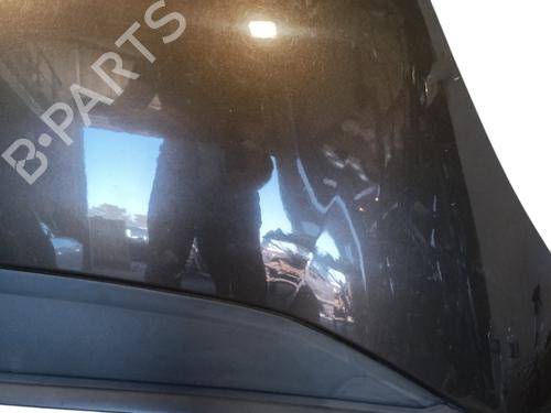 Hood CITROËN C4 Grand Picasso I (UA_) 2.0 HDi 150 | BP29025861C1