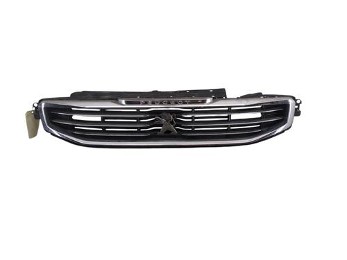 Used Grille Grille 32030021 32030021