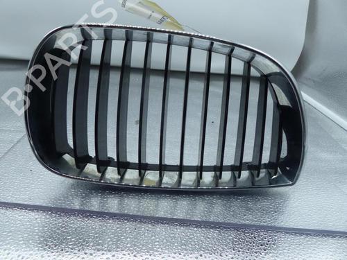 Used Grille BMW 1 (E87) 120 d (163 hp) 25091638
