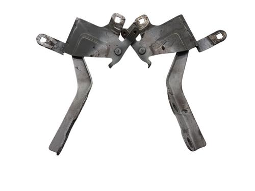 Hinge/Door check strap RENAULT CLIO IV (BH_) 1.5 dCi 75 | BP25072347C146 