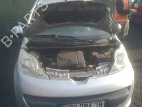Tailgate PEUGEOT 107 (PM_, PN_) 1.0 | BP25105101C6