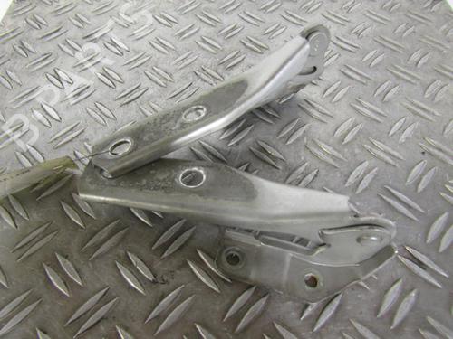 Hinge/Door check strap AUDI A3 Sportback (8PA) 2.0 TFSI quattro | BP25066065C146 