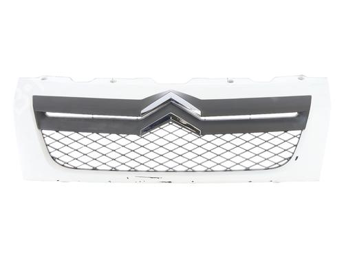 Used Grille Grille 38513003 38513003