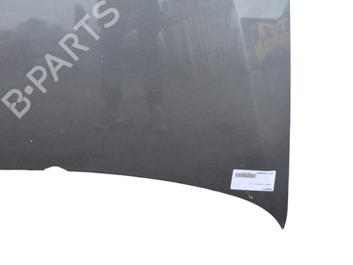 Hood VW POLO V (6R1, 6C1) 1.6 TDI | BP29513779C1 