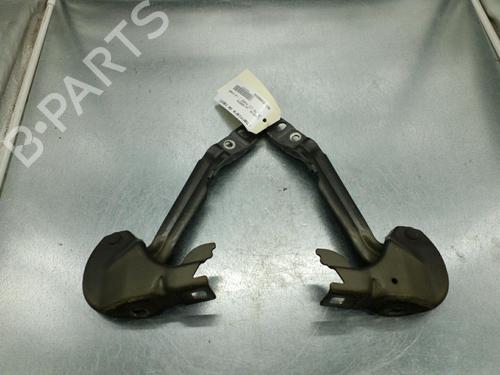 Hinge/Door check strap LANCIA DELTA III (844_) 1.6 D Multijet (844.AXC11, 844.AXC1A) | BP25089565C146