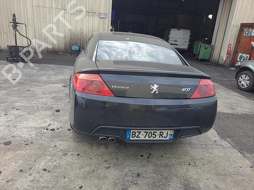 Expansion tank PEUGEOT 407 Coupe (6C_) 2.7 HDi | BP25081691C120 