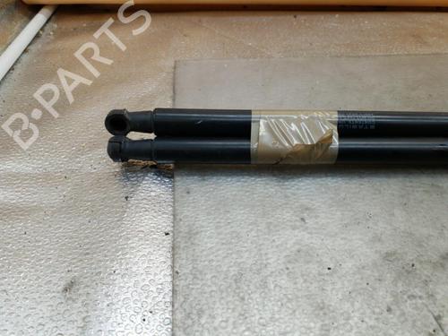 Tailgate lift support NISSAN QASHQAI I (J10, NJ10) 1.5 dCi | BP28613108C138